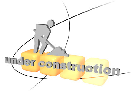 rieger-services.de